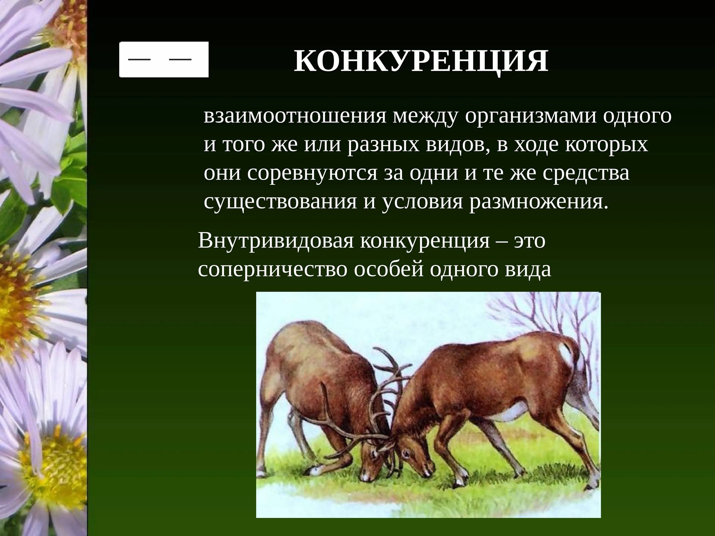 Взаимо отношения организмов. Конкурентные отношения между организмами. Типы взаимодействий между организмами. Типы отношений между организмами. Взаимосвязи между организмами.