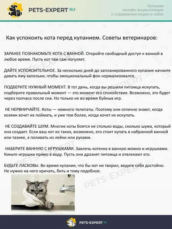 Кошка просит кота домашние средства
