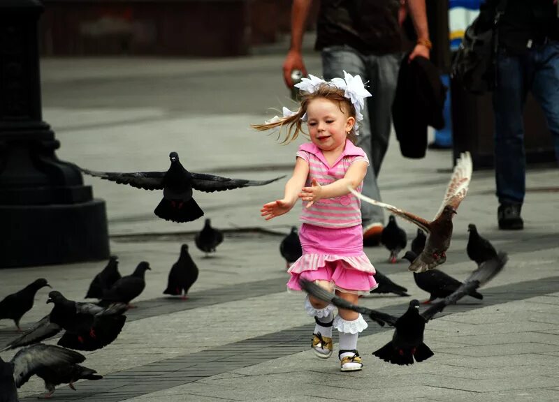 Наташку дергать. Голубей гонять. Дети гоняют птиц. Дети гоняют голубей. Ребёнок бежит за голубем.
