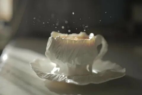 Фарфоровая жизнь