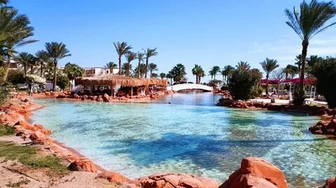 Египет отель regency plaza aqua