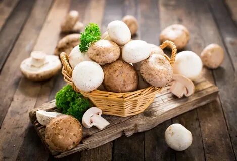 Грибы шампиньоны картинка