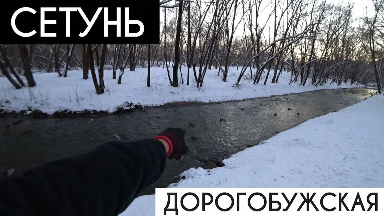 Сетунь дмитров. Долина реки сетунь. долина реки сетунь давыдково. сетунь загрязнения.