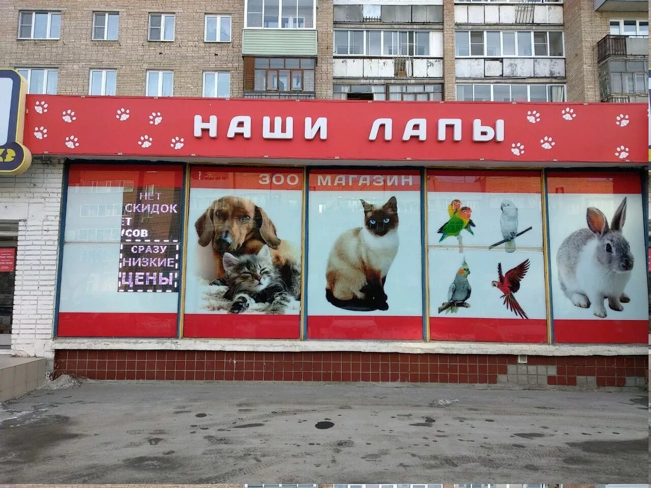 ближайший зоомагазин от меня. зоомагазин внутри товары. зоомагазин внутри. зоомагазин любимчик москва. зоомагазин.