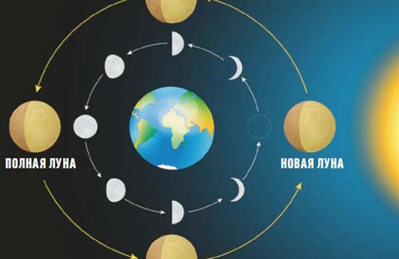 Фазы Луны. 4 Фазы Луны. Убывающая Луна 4 фаза. Фазы Луны заставка.