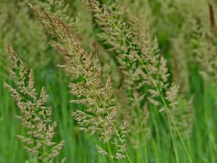 i?id=8587b026f743bfd591b6fc809f2ef3d9-52