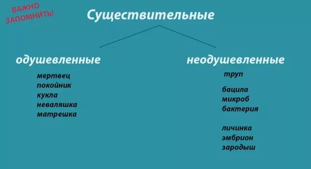 Луна собственное имя существительное. Мертвец одушевленные и неодушевленные. Матрешка одушевленное или неодушевленное существительное.