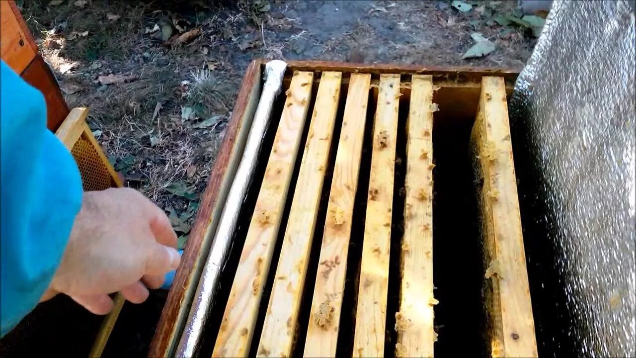 Как собрать гнездо пчел на зиму. Сборка гнезда пчел. формирование гнезда пчел на зиму. способы сборки пчелиного гнезда в зиму. гнездо пчел зимой.