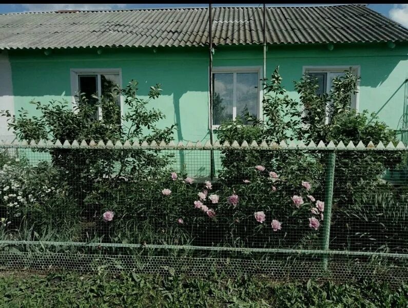 Погода родничок балашовский район. Малая Семеновка Балашовский район Саратовская область. Малый Мелик Балашовский район. Село Семеновка Саратовская область. Дом Балашовский район.