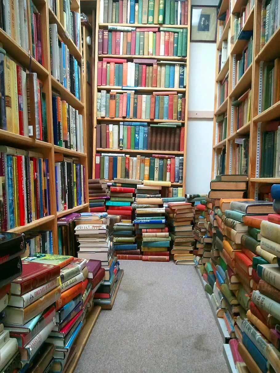 She a lot of books. Много книг. Книга библиотека. Книжки в библиотеке. Фон книги библиотека.