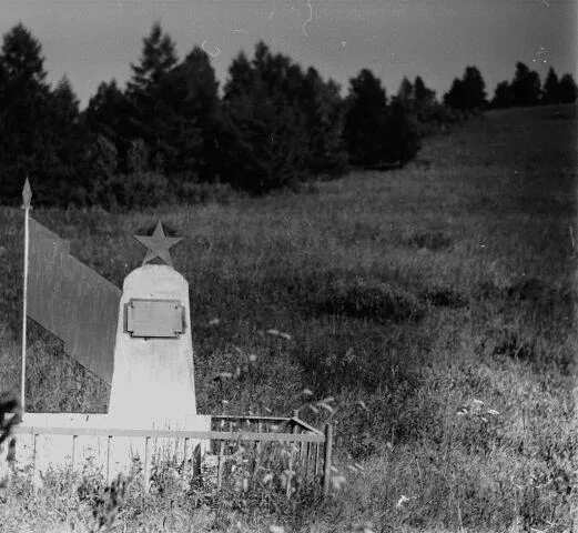 Лесная коммуна. Сучанский рудник. Парк северный лес воронеж фото. Тайга урала заброшенные деревни. Лесопарк спб ржевка.