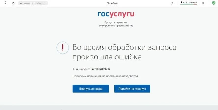 Почему невозможно зайти в личный кабинет. Ошибка на госуслугах. Госуслуги картинка. Ошибка на госуслугах скрин. Ошибка входа в госуслуги.