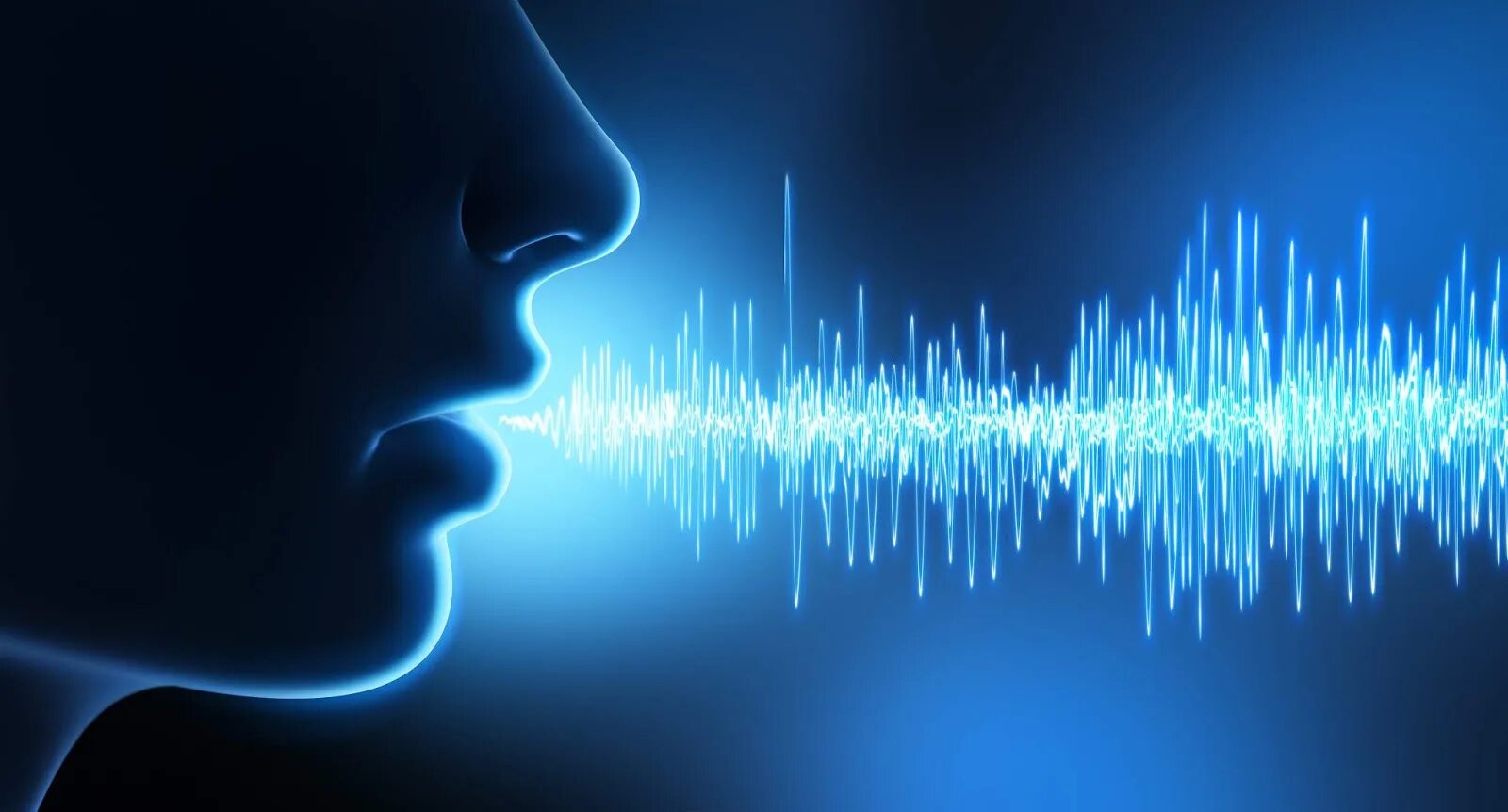 Voice system