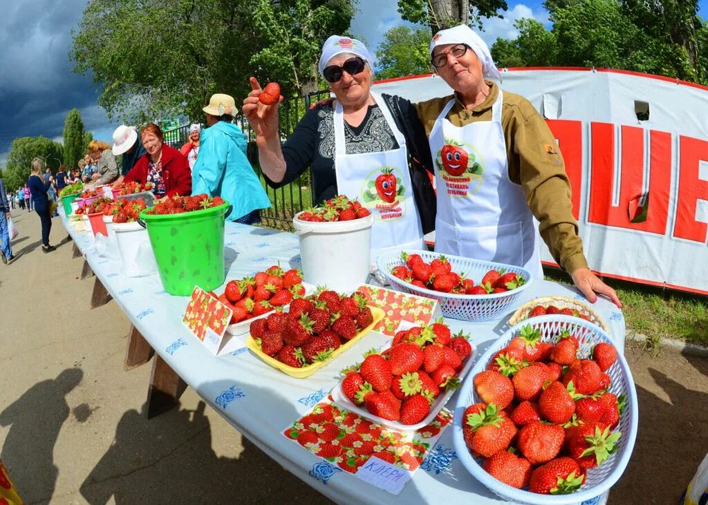 Подозерская клубника 2022. День клубники в подозерском 2024. Байкальск клубника. Фотозона фестиваль клубники. День клубники в подозерском 2024.