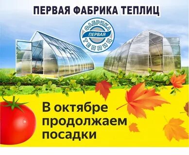 Фабрика теплицы отзывы