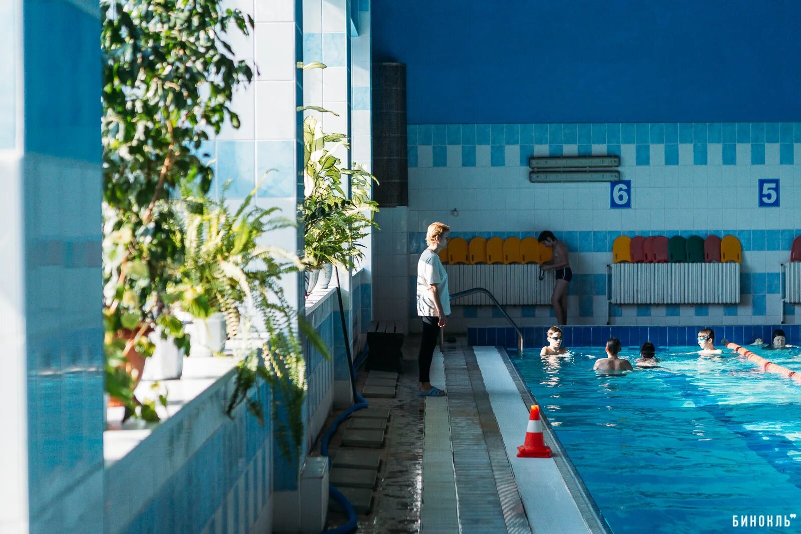 Нептун бассейн Тюмень. Бассейн в Бресте. Нептун Томск бассейн. Бассейн Нептун глубина. Сеансы бассейна нептун