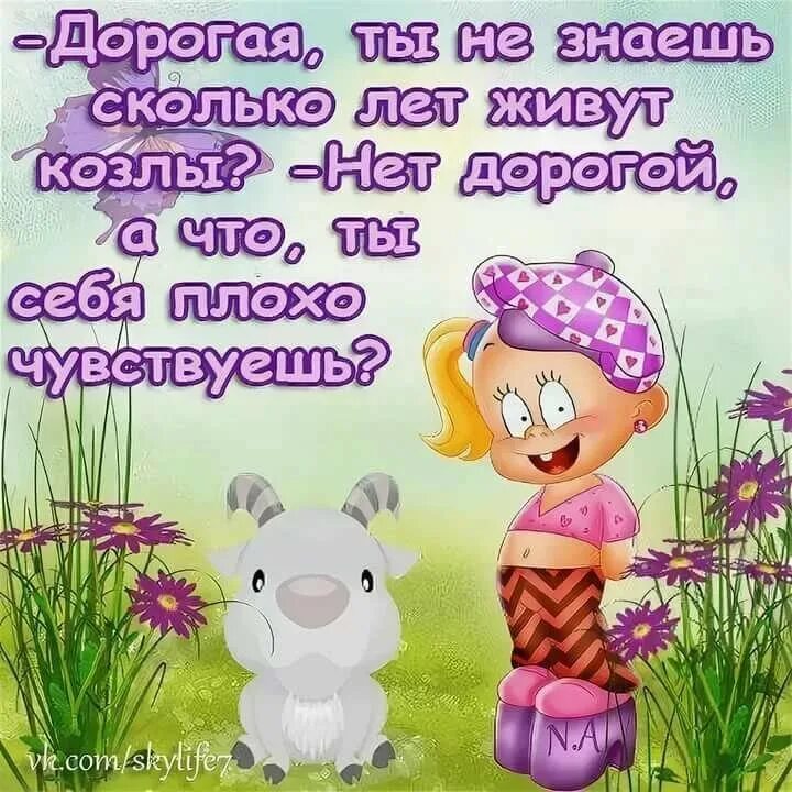 Что нибудь со словами