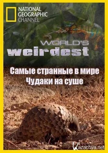 World's weirdest. Странный Гео. Диск про животных документальный National Geographic.