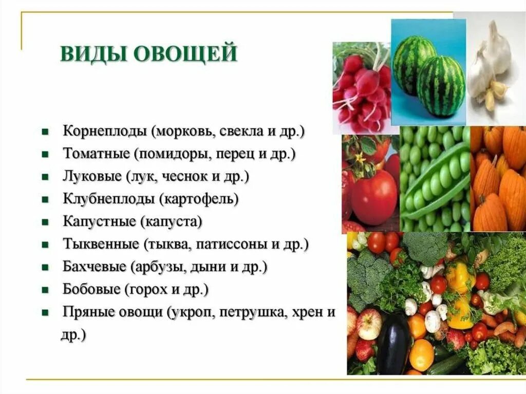 Что называют овощами. Овощные культуры. Разнообразие овощей. Овощные и плодовые культуры. Основные виды овощей.