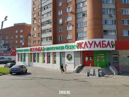 Клумба гагарина 33