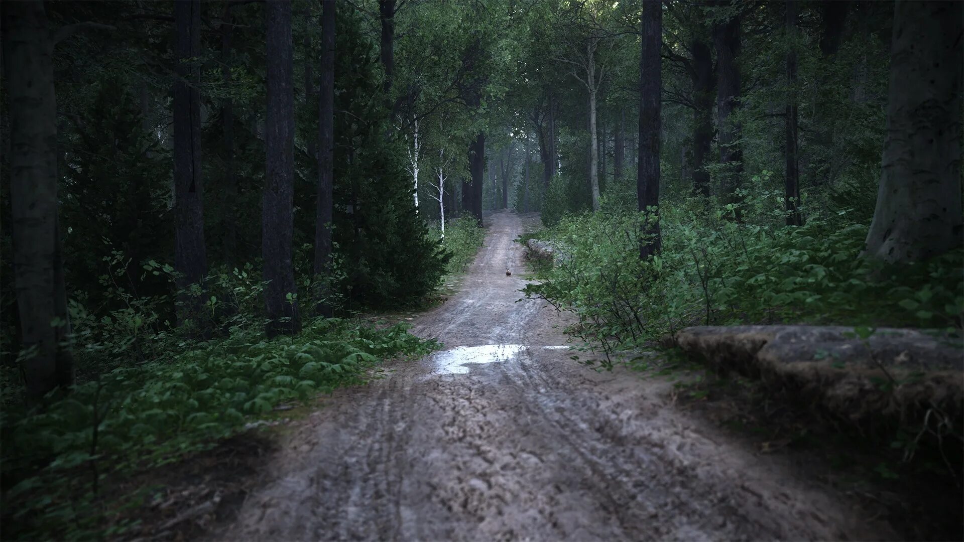 Come forest. Kingdom come deliverance лес. Kingdom come deliverance Forest. Kingdom come deliverance 4к. Kingdom come deliverance природа.