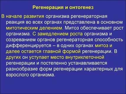 Обеспечивает рост организма