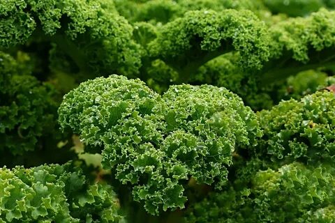 Vegetable stearate