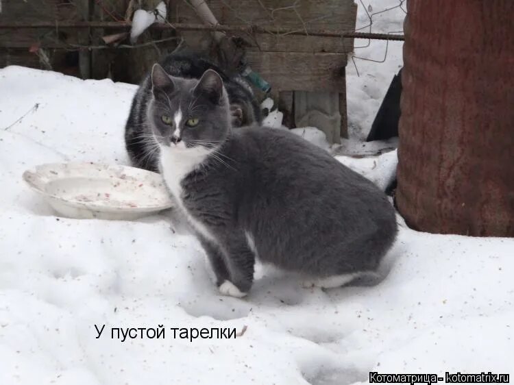 У пустых нет ее. У пустых нет ее