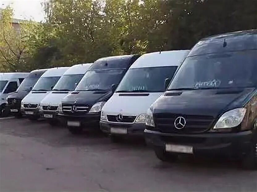 Работа на микроавтобус д