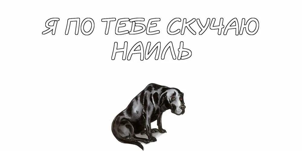 Слава скучаю. Прости скучаю по тебе. Прости меня я скучаю. Извини меня я скучаю по тебе. Я по тебе скучаю с собакой.