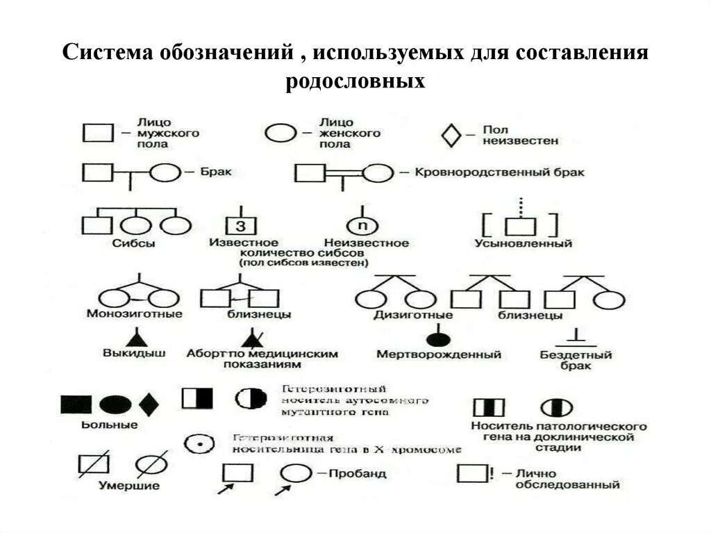 Условные обозначения генетики. Обозначения родословная генеалогический метод. Генетика условные обозначения родословной. Генетическое составление родословной символы. Обозначения используемые при решении генетических задач.