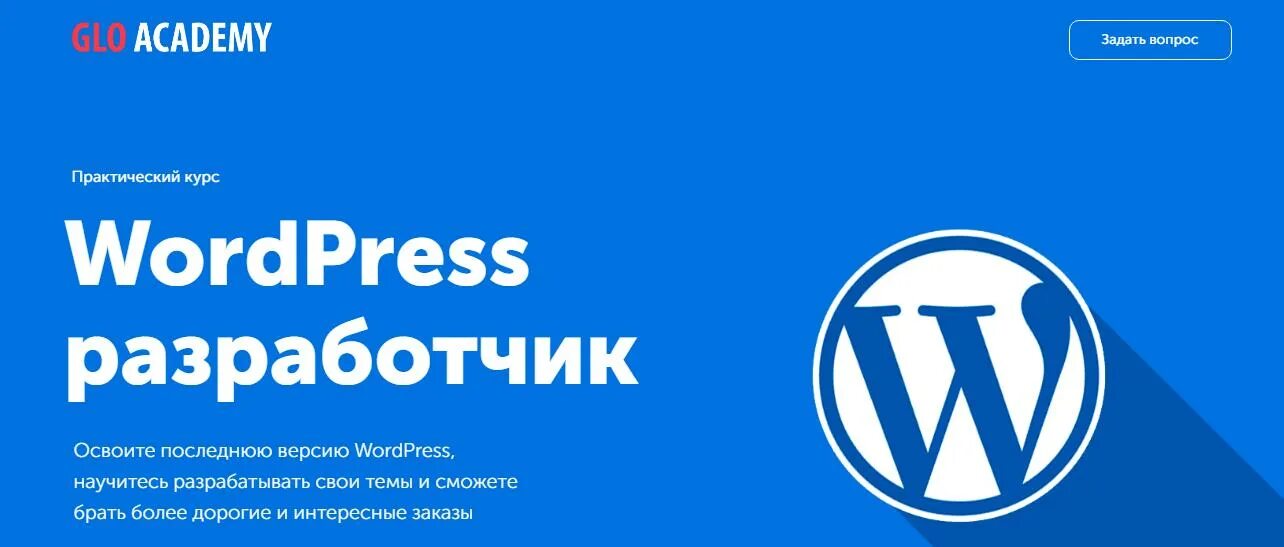 Разработчик wordpress