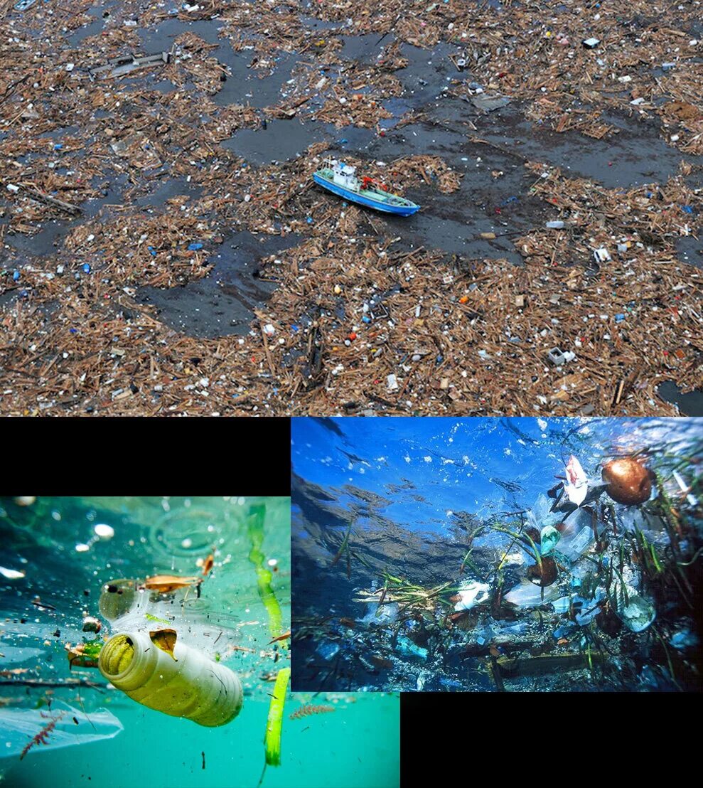 Мусорные острова в водах мирового океана