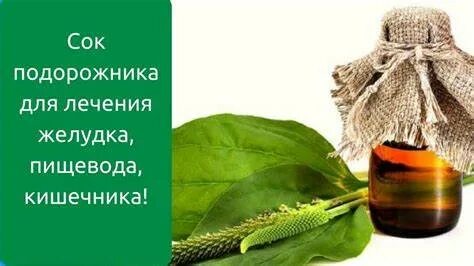 Лечение желудка соком