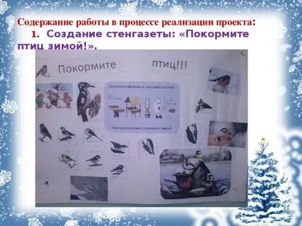 Как помочь птицам зимой стенгазета шаблоны 2