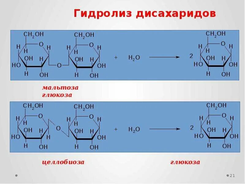 Мальтоза уравнение. Мальтоза лактоза целлобиоза. гидролиз дисахаридов механизм реакции. реакция гидролиза целлобиозы. гидролиз дисахаридов уравнение реакции.