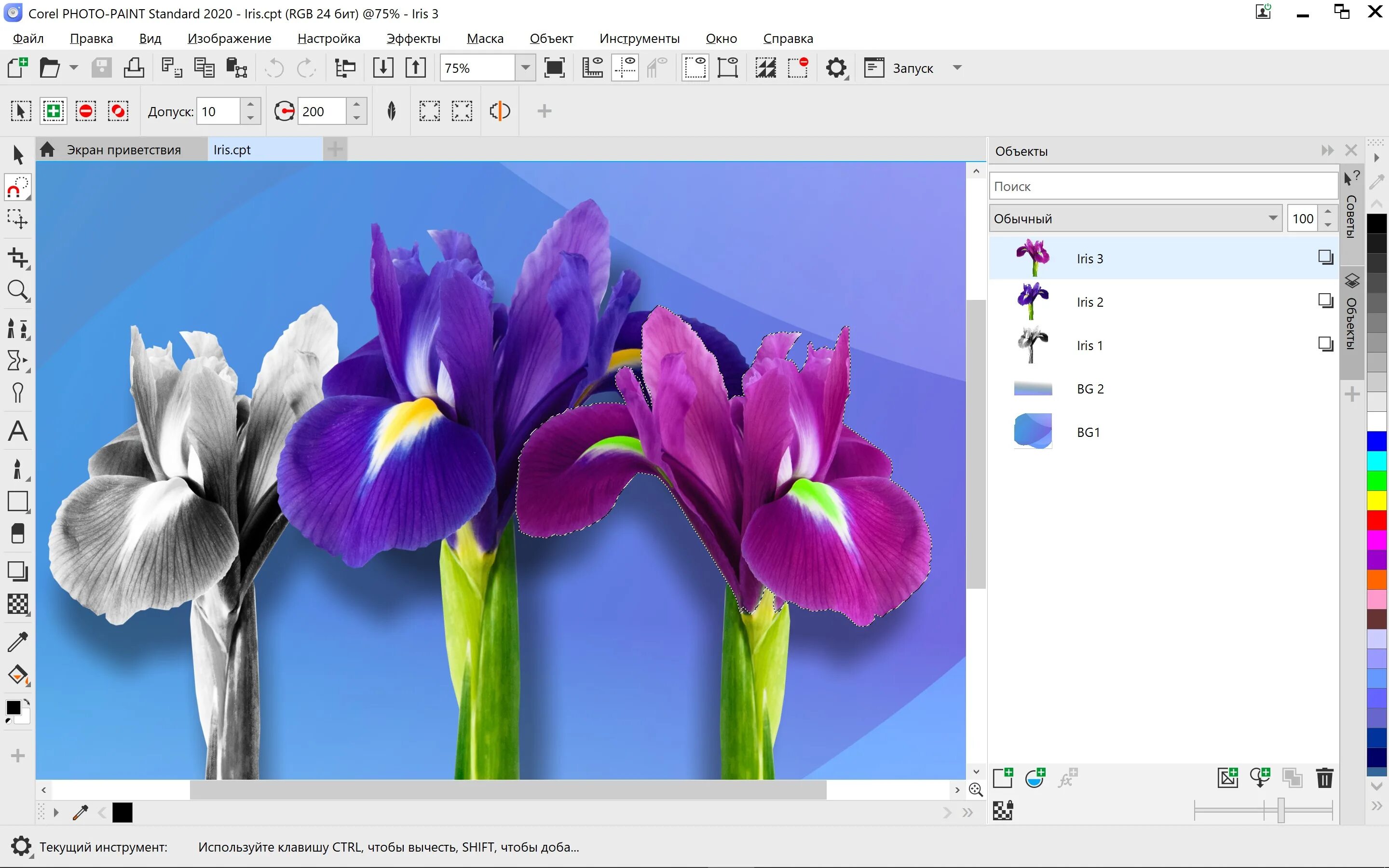 Coreldraw 1progs. Coreldraw standard 2025. coreldraw картинки. программа coreldraw. корел дизайн.