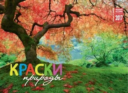 Краски природы это