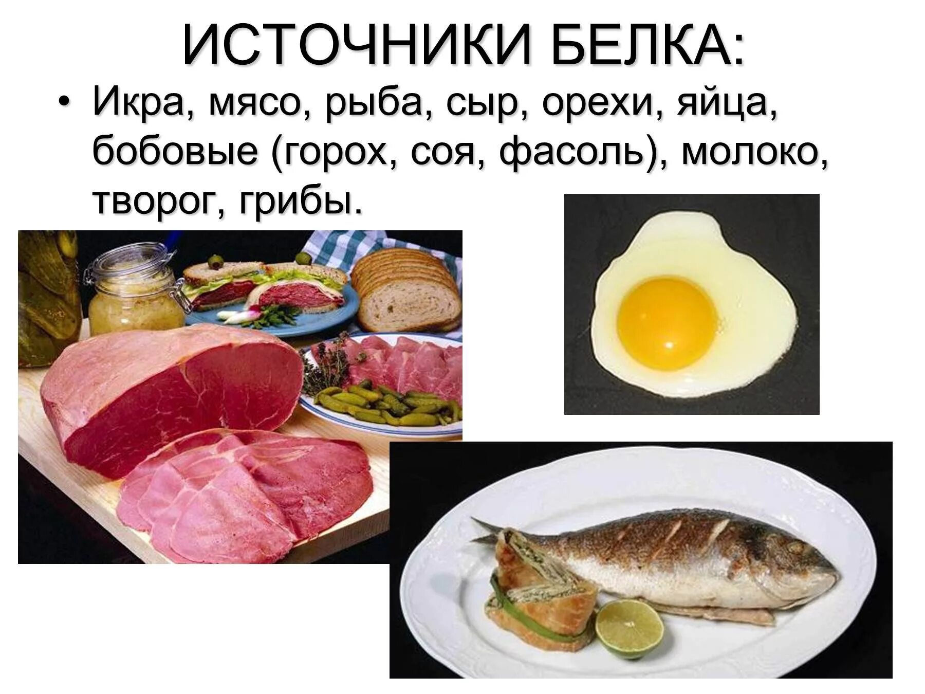 Рыба источник белка. Источники белка в питании. Белки источники. Мясо источник белка. Белковая рыба