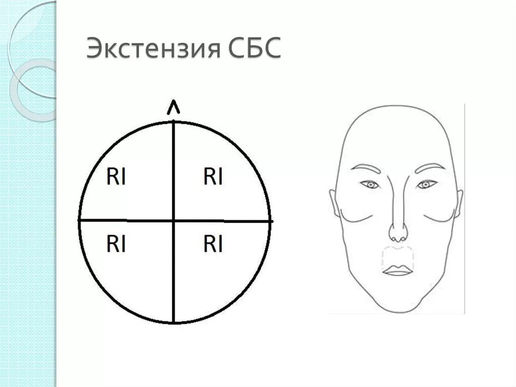Карта сбс. Квадранты черепа. экстензия сбс. дисфункции сбс физиологические и патологические.