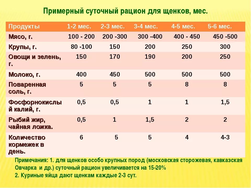 Сколько грамм еды давать щенку