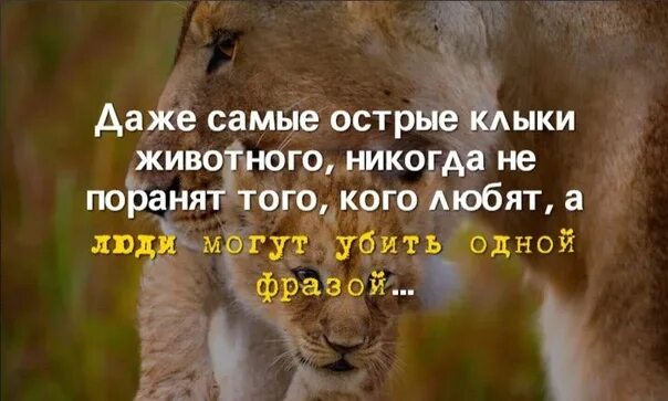 Даже животных