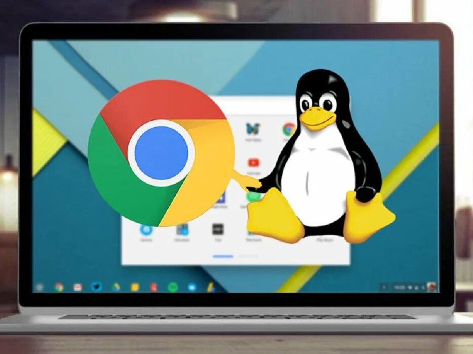Гугл хром линукс. Chrome os. google chrome os. chrome os linux. гугл хром на линукс.