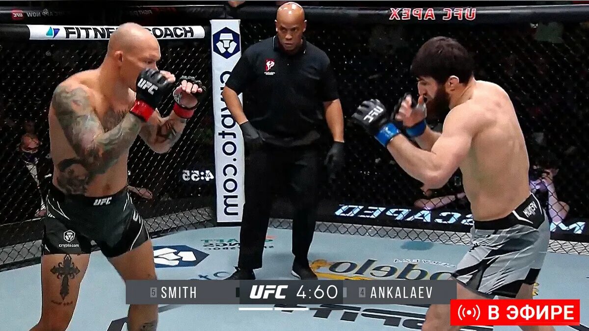 Повтор боя анкалаев. Магомед анкалаев энтони смит. ufc 277 бой анкалаев и энтони смит.