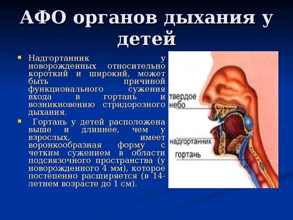 Лор органы у детей. Афо гортани новорожденного:. Афо органов дыхания у детей. Анатомо-физиологические особенности органов. Афо органов дыхания у детей гортань.