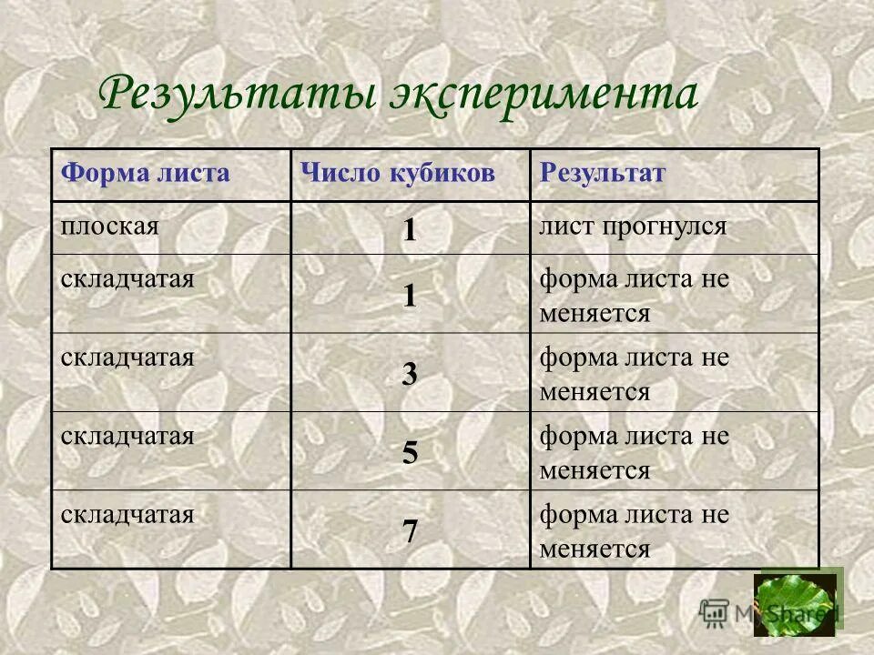 Ножницы множественное число. Существительные в единственном числе. Распределить слова по столбикам. Листва имеет единственное число. Распредели слова по столбикам слова.