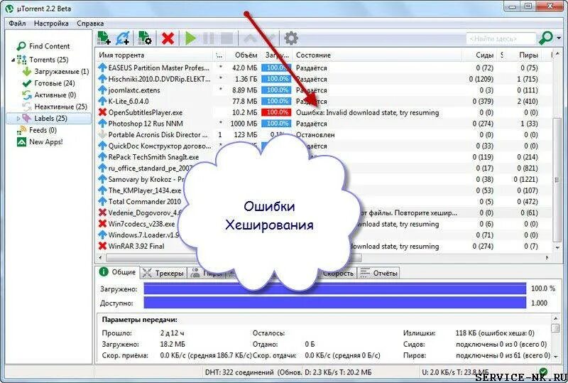 Как исправить ошибку торрента