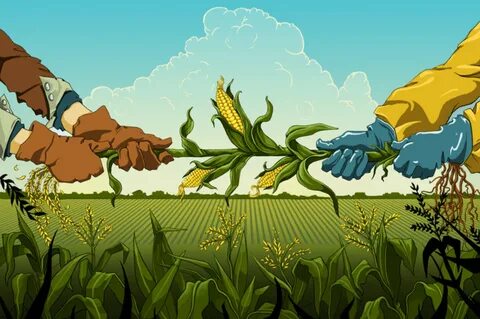 GMO peace treaty: Mark Lynas lays out 7 steps to stop the fighting.