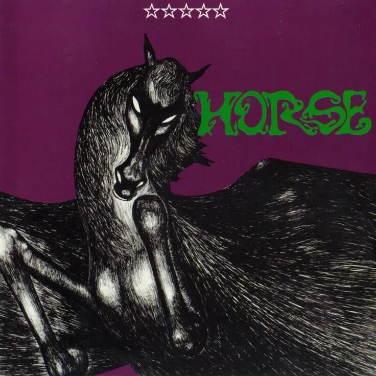Band of horses. Рок лошадь. Группа horse. Группа horse. Band of horses the funeral.