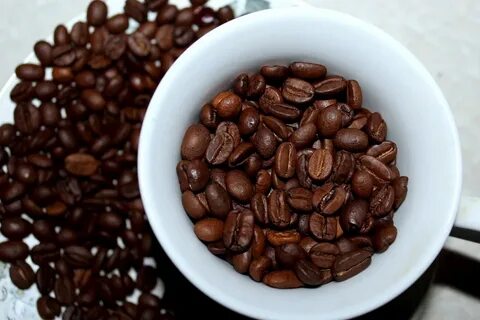 Самых арабика